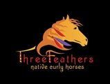 Three Feathers Native Curly Horses