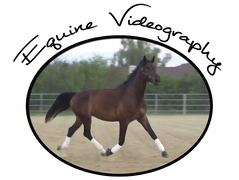 Equine Videography                            